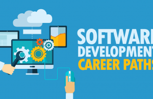 All you need to know about the Software Developer Career