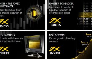 Why Should You Trade Forex on Exness Trading Platform
